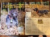  - FOREST GUMP sur les magazines de chasse