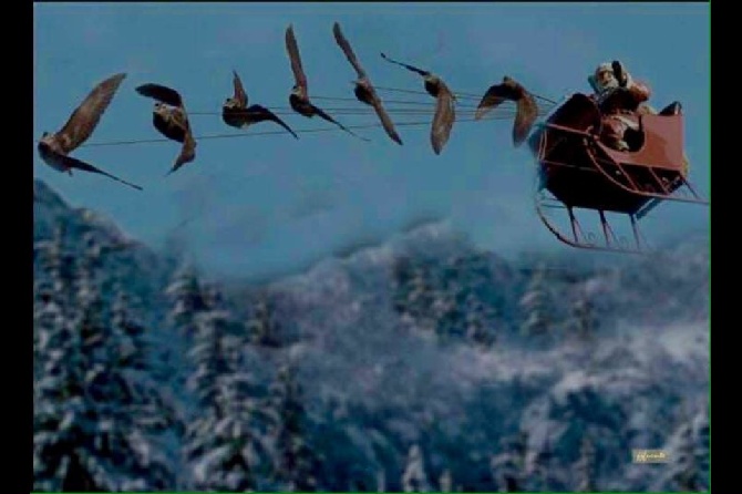 des Gorges de la Luzège - A l'année prochaine Pere NOEL